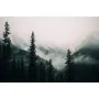 Фотошпалери туманний ліс, що зачаровує